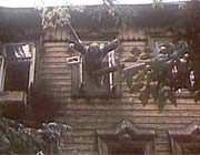 ������ �� �������� (1984)